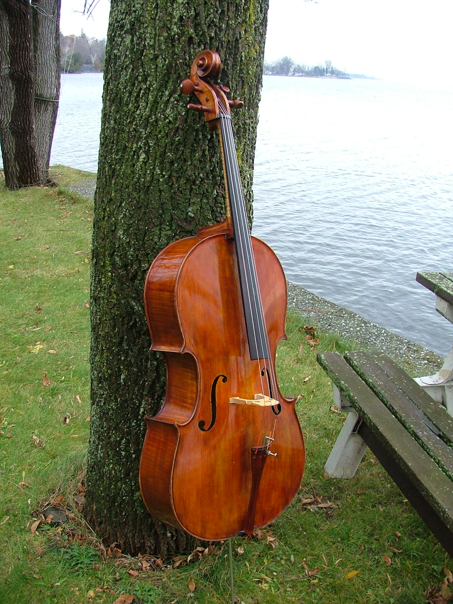 Giuseppe Carlo Bobbi - Violoncello foto 1