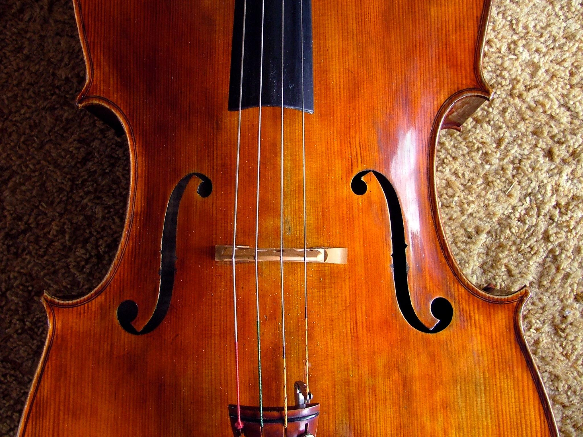Giuseppe Carlo Bobbi - Violoncello foto 2