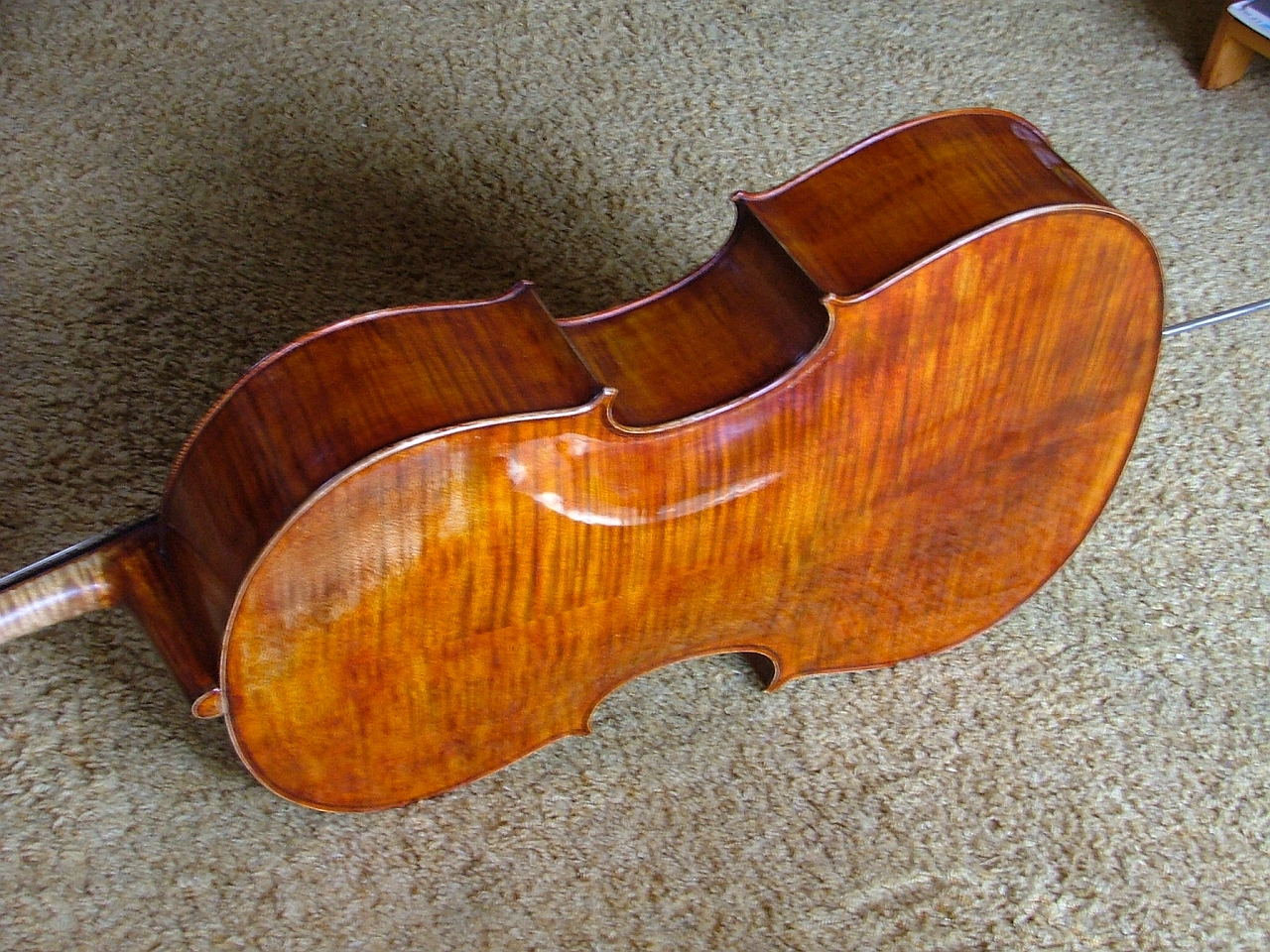 Giuseppe Carlo Bobbi - Violoncello foto 3