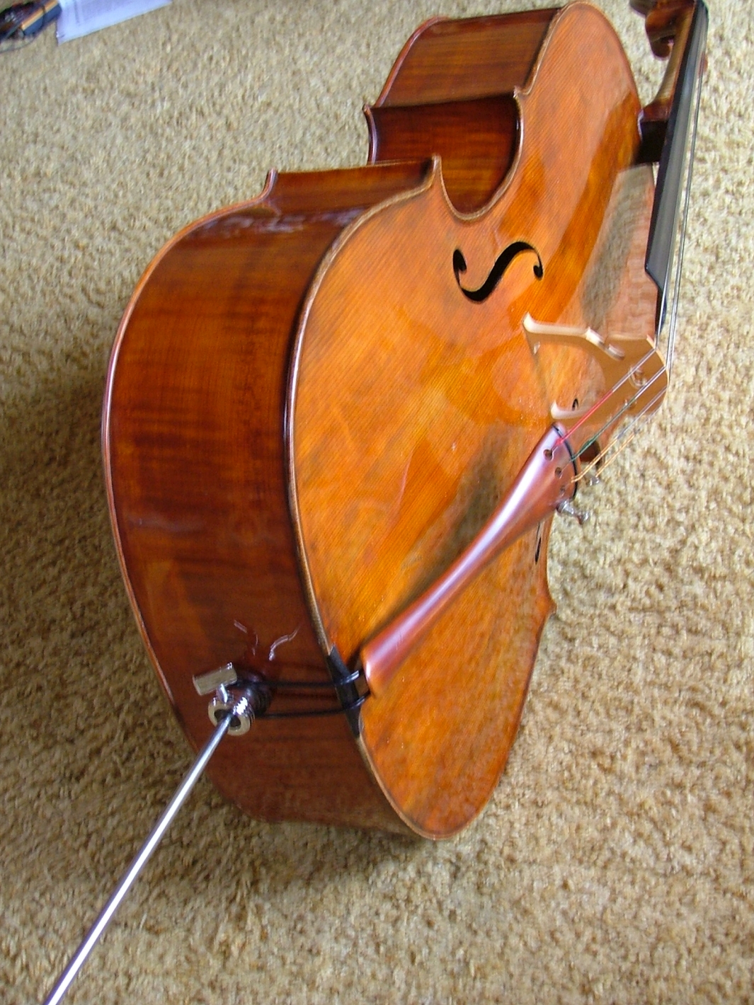 Giuseppe Carlo Bobbi - Violoncello foto 5